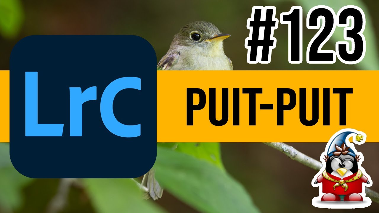 Lightroom Retouche Express 123 – Puit Puit des bois Vulgus