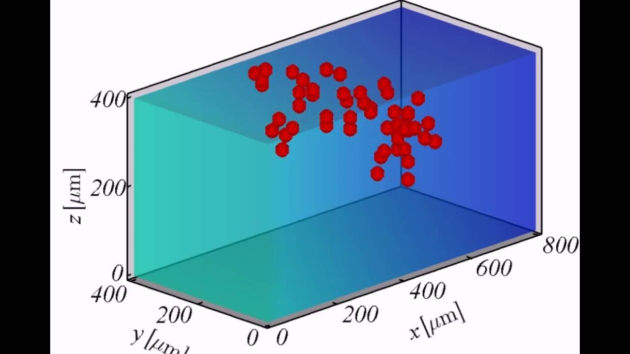 Computational modelling of multi-cell migration (mechanotaxis)