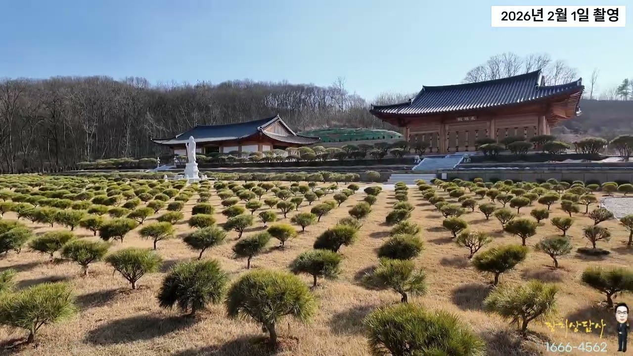 2026년 2월의 김포수목장 전경을 보고 장지 상담 받아보세요