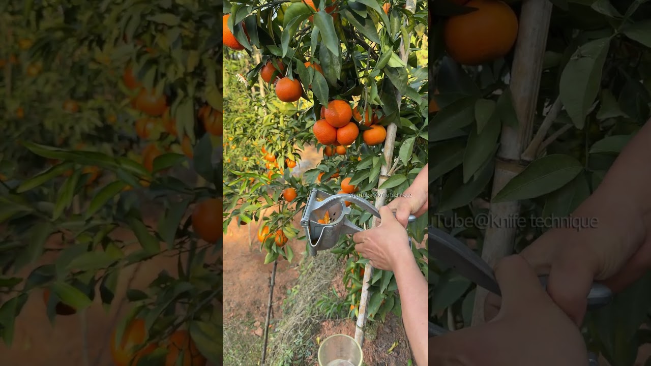 A mobile juice bar in the orchard, so fresh it makes you scan!