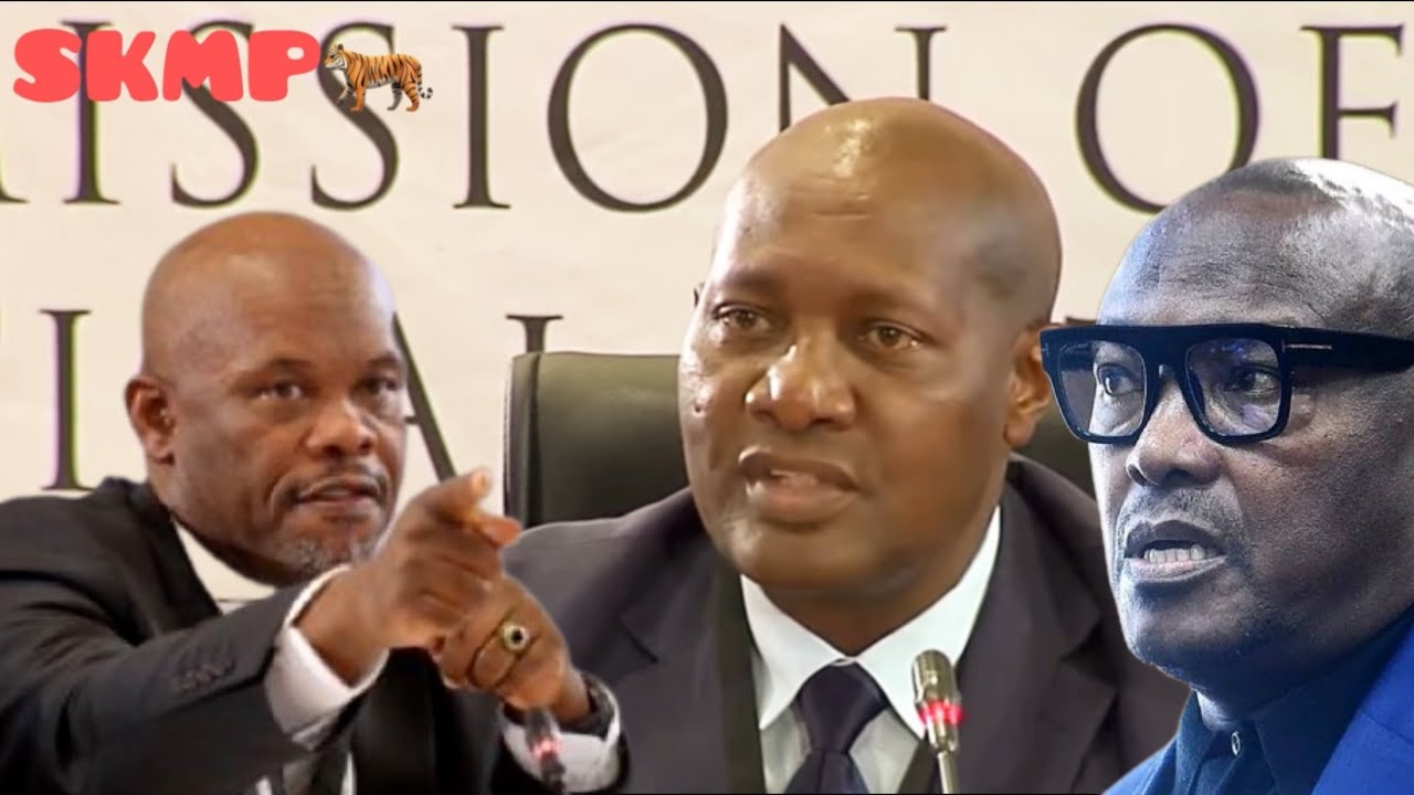WATCH | Comn Baloyi questions why Sibiya wanted report on Molefe while Shibiri was on leave