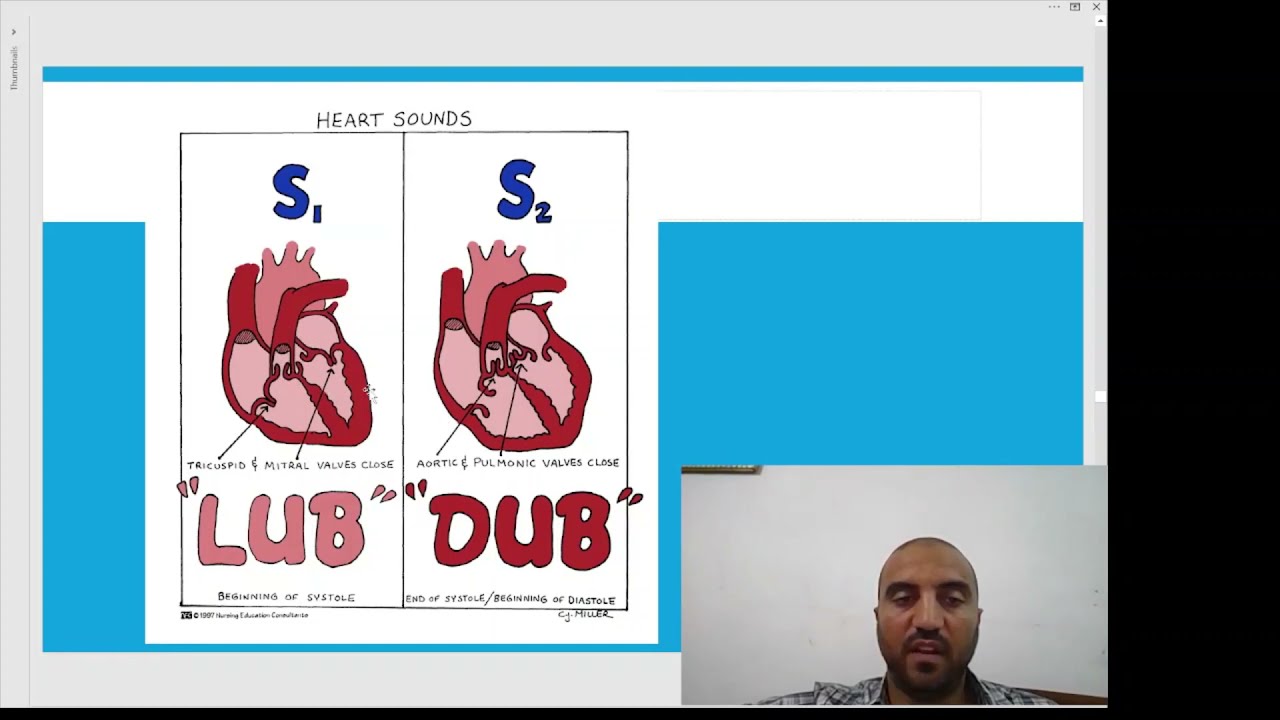 أفكر في أيه أثناء الكشف الكامل الحيوانات الاليفة.الجزء 4/6 dog and cat physical exam 4/6