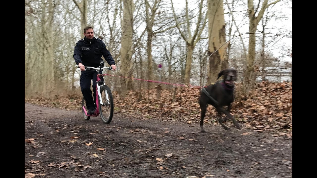 Worms: Der Polizist auf dem pinken Dog-Scooter