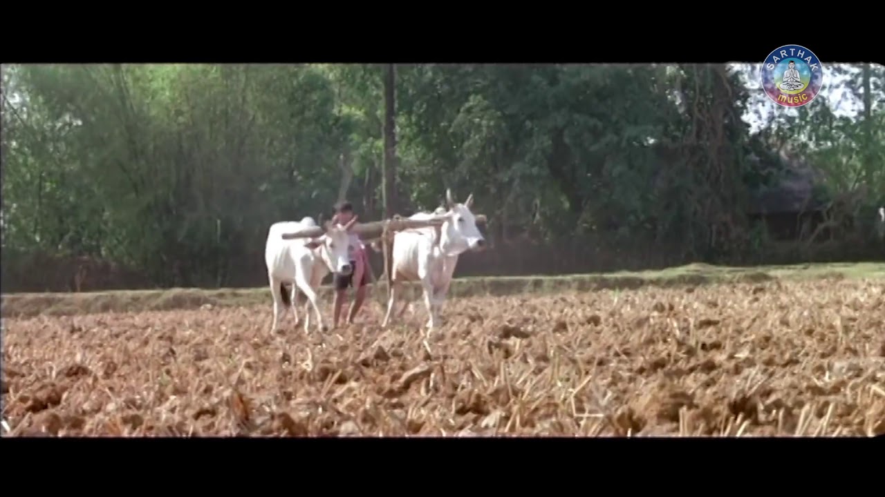 Suna chadhi Mo Ropachadhai movie video odia