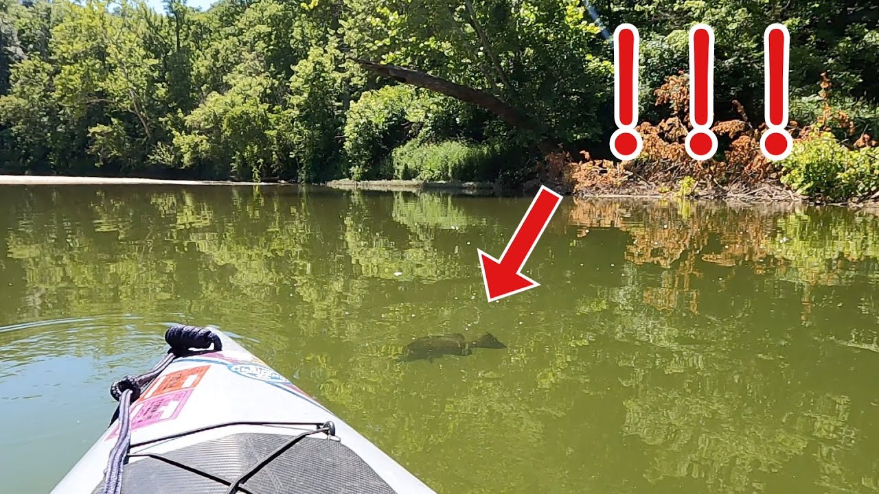 Big Smallies on Sugar Creek
