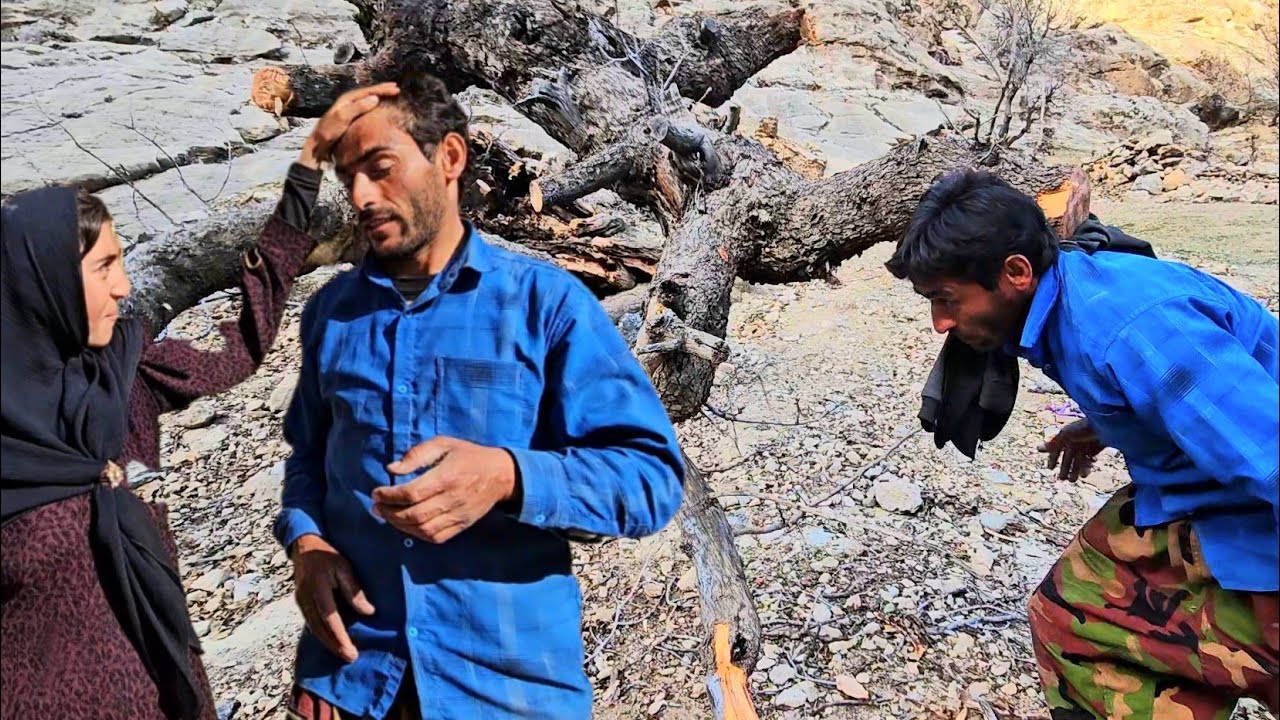 Osool-e Din’s River Life | The Fallen Oak and a Family’s Hard Work