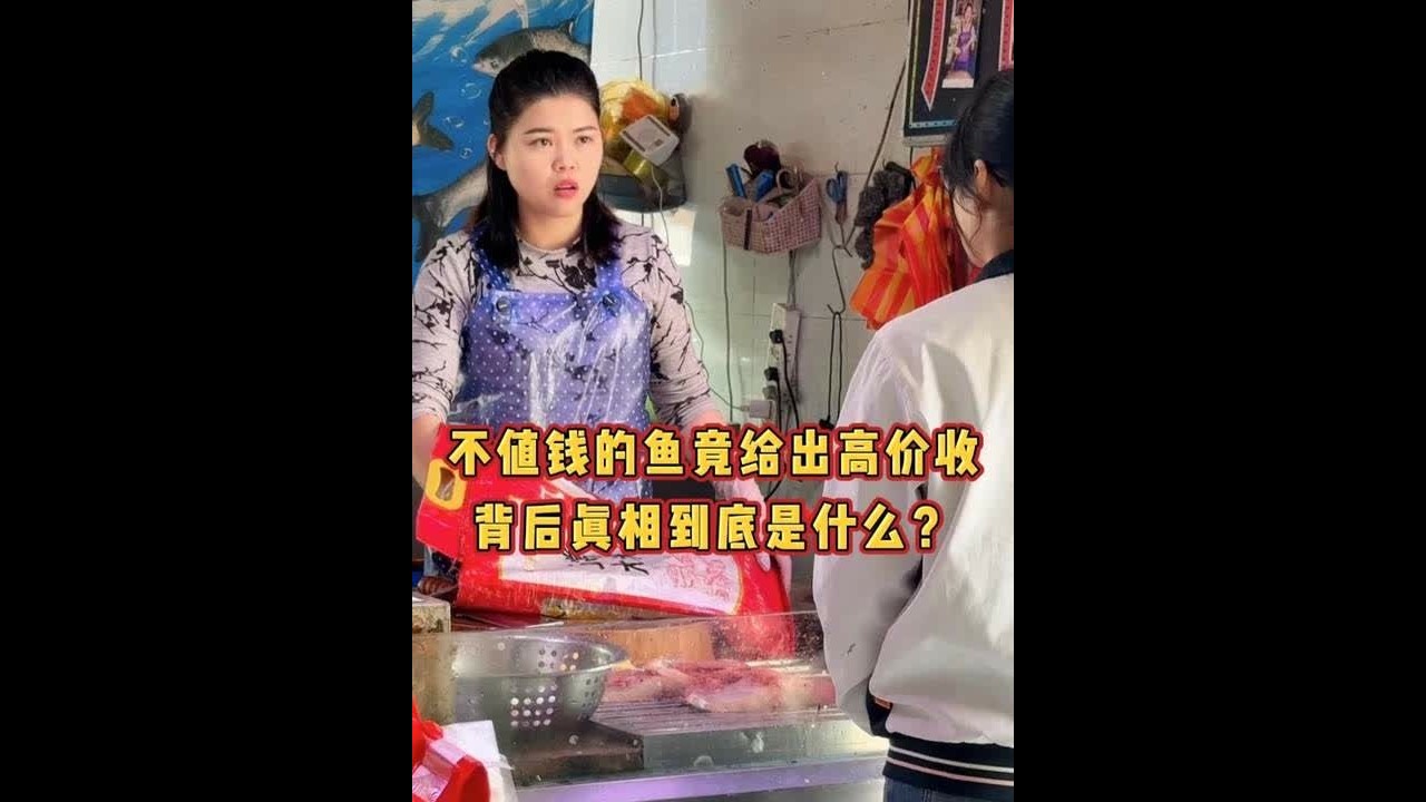 不值钱的鱼竟给出高价收背后真相到底是什么？ #杀鱼技术 #砍切两用刀 #厨房好物 #记录生活