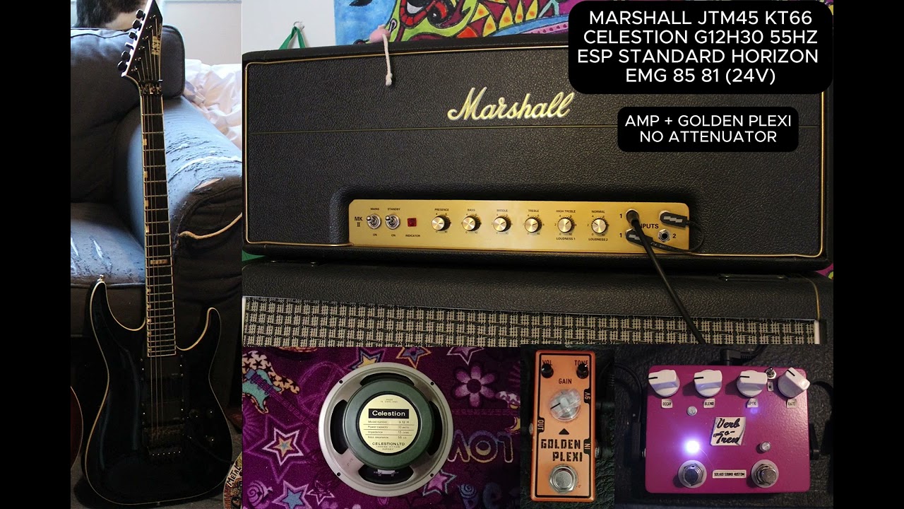 EMG 85 81 24V Mod (JTM45 & G12H30 Heritage 55Hz) MIC