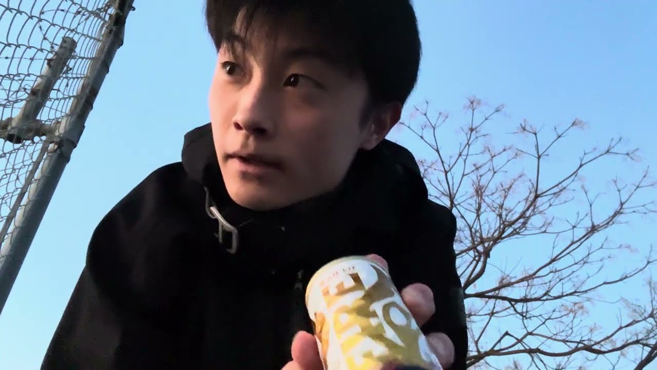【悲報】　ワイ、猫に三度見される　#71