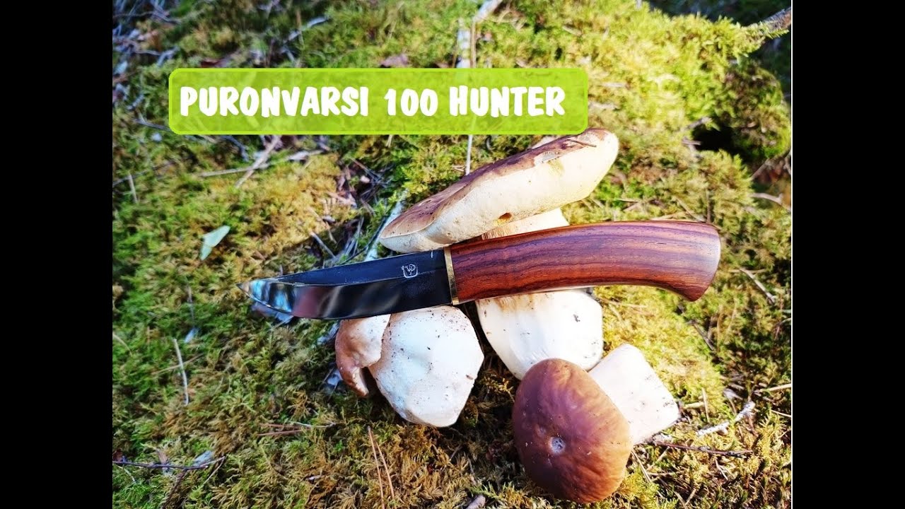 Pár slov, les, hřiby, buřty, koupání a PURONVARSI HUNTER 100 (No.68 Metsänhoitaja)