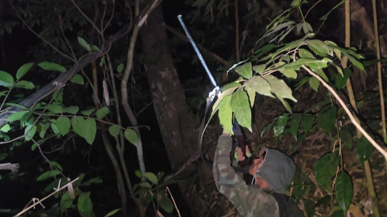 Overnight Hunting With Two Friends// @youngls