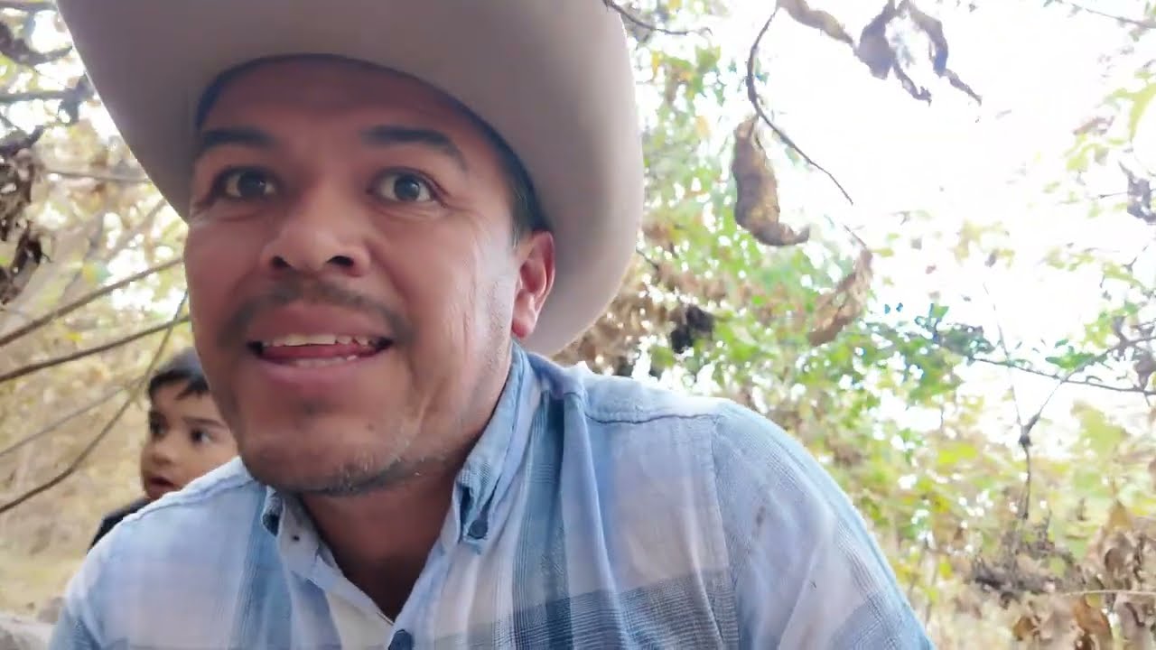 Se comieron al GALLO MÁS BONITO, Esta vez si se hizo algo. 