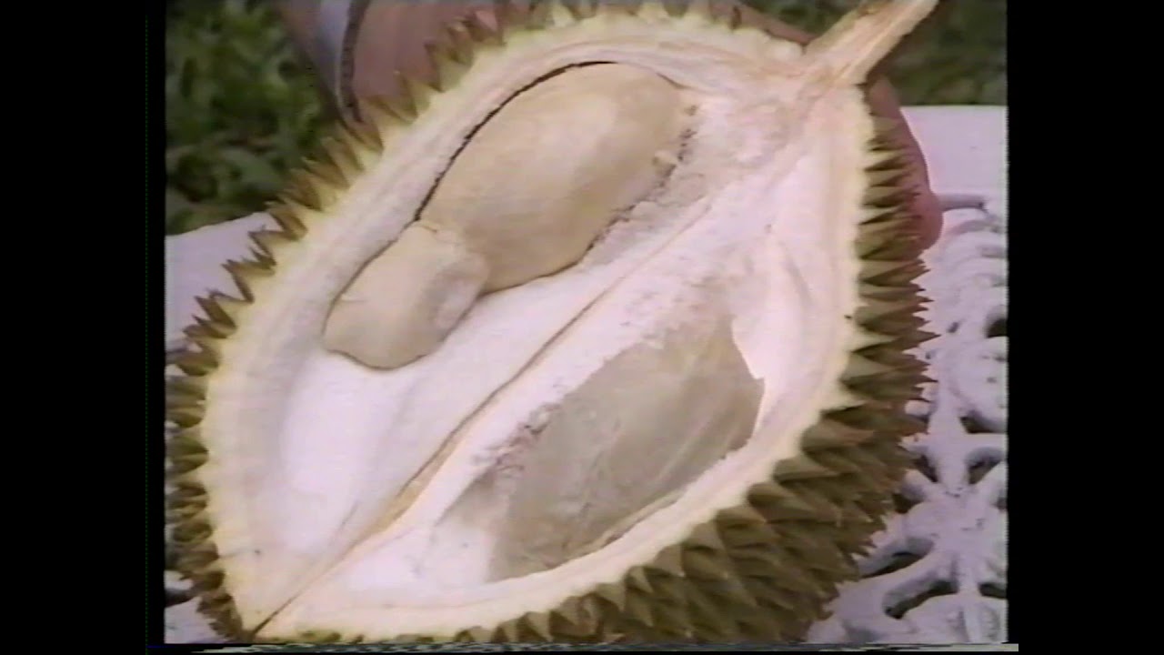 Meet the king and queen of fruits in a historic setting.