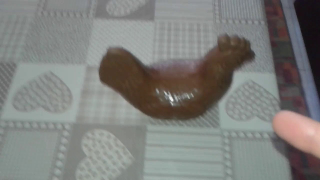 Polloooo