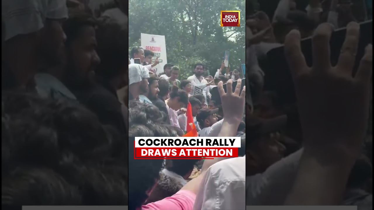CJP News:Cockroach Rally Draws Attention | Delhi Protest Over Exam Issues Gains Momentum #cockroach