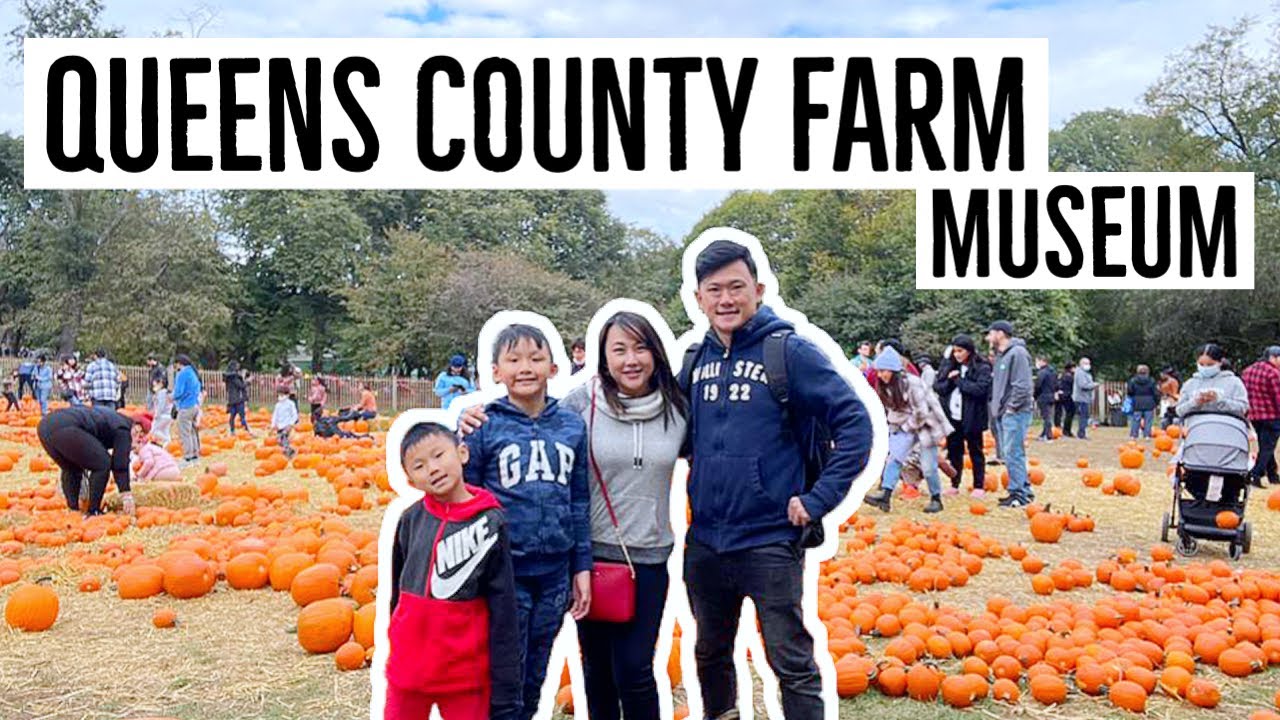 Queens County Farm Museum - Pumpkin Patch and Floral Escape 2021