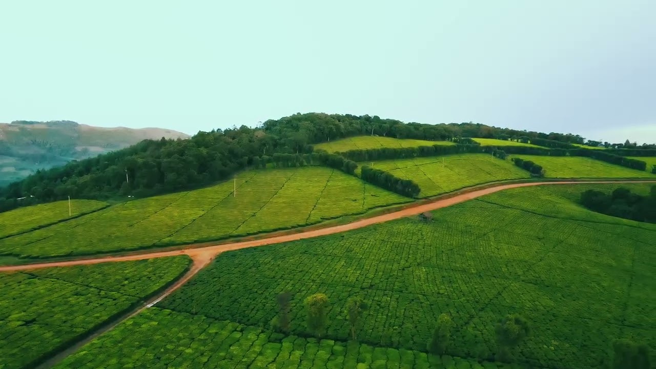 Discover the hidden gems of the Southern Highlands of Tanzania 🇹🇿