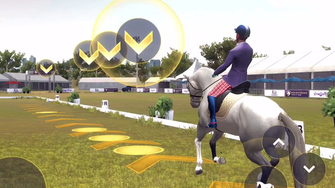 AUSINT3DE Dressage Gameplay