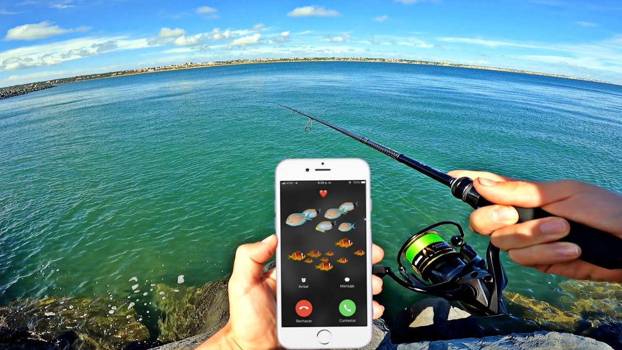 ¡¡PESCANDO con el MÓVIL!! Spinning desde ESPIGÓN con SORPRESA