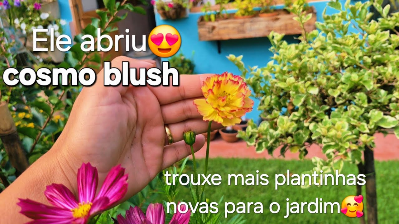 ENCANTADA COM AS FLORES NOVAS DO JARDIM/PASSEIO E COMPRINHAS 🥰😍