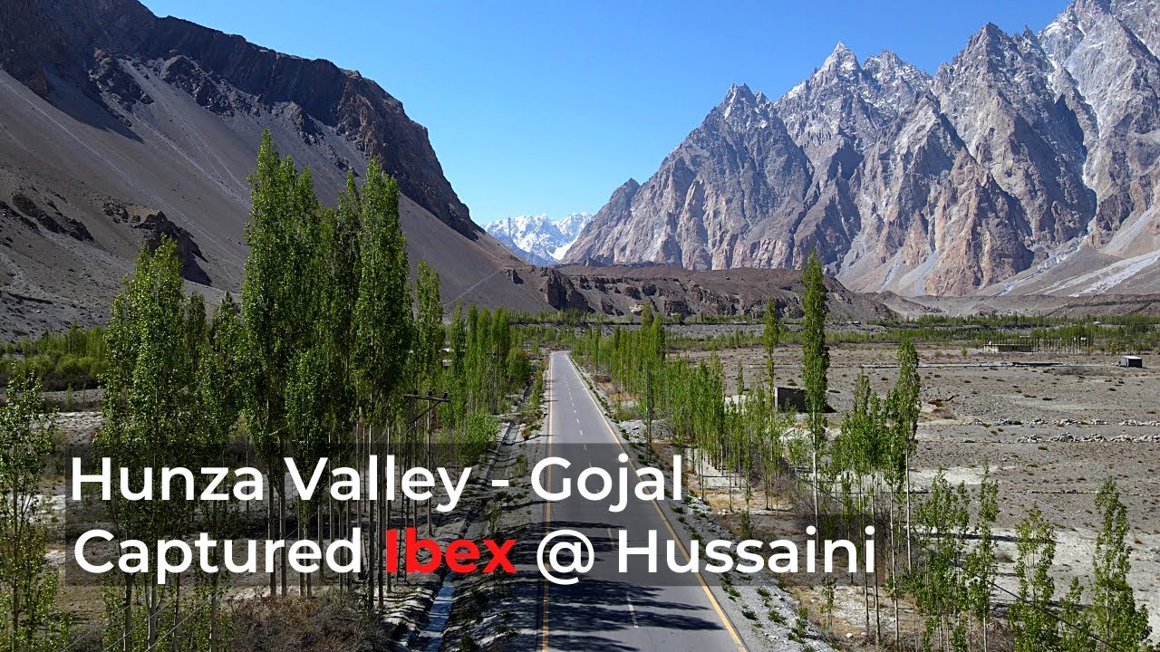 Hunza Valley - Ibex at Hussaini Gojal | Gilgit Baltistan | Pakistan
