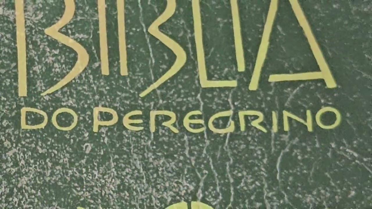 7 livros que não estão nas bíblias evangélicas #bíblia #teologia #filosofia #deus 