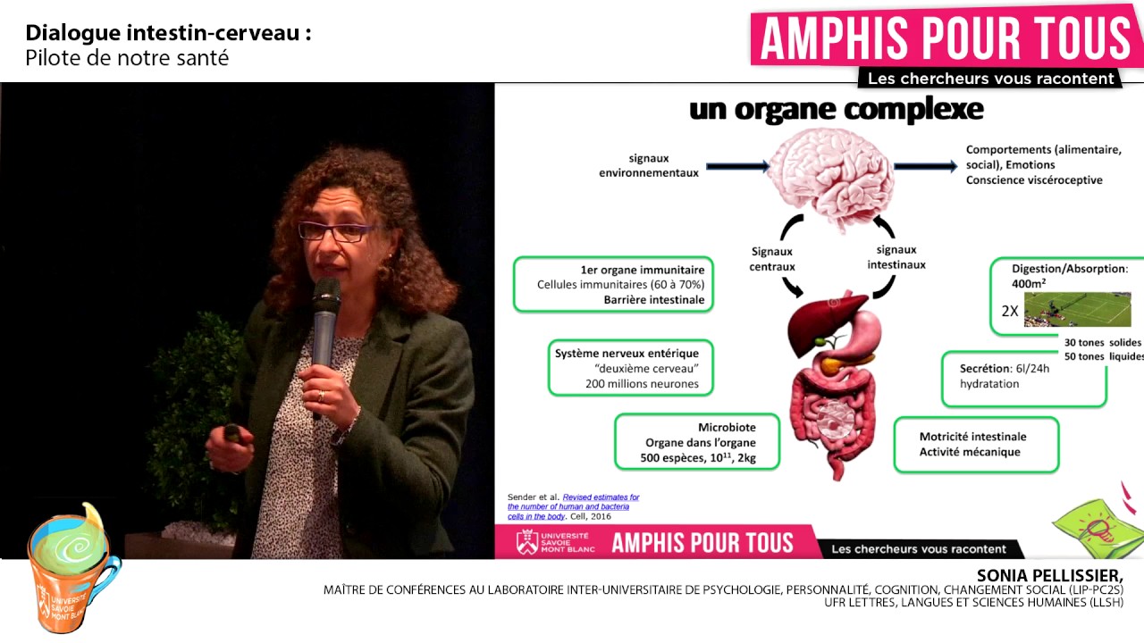 Amphis Pour Tous : Dialogue intestin-cerveau, pilote de notre santé