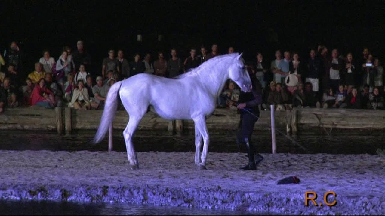 LES SAINTES MARIES DE LA MER SONGE D UNE NUIT EN CAMARGUE 15 JUILLET 2019