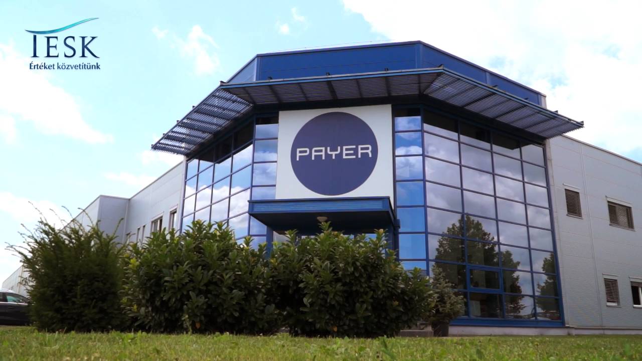 Milyen a Payer-nél dolgozni?