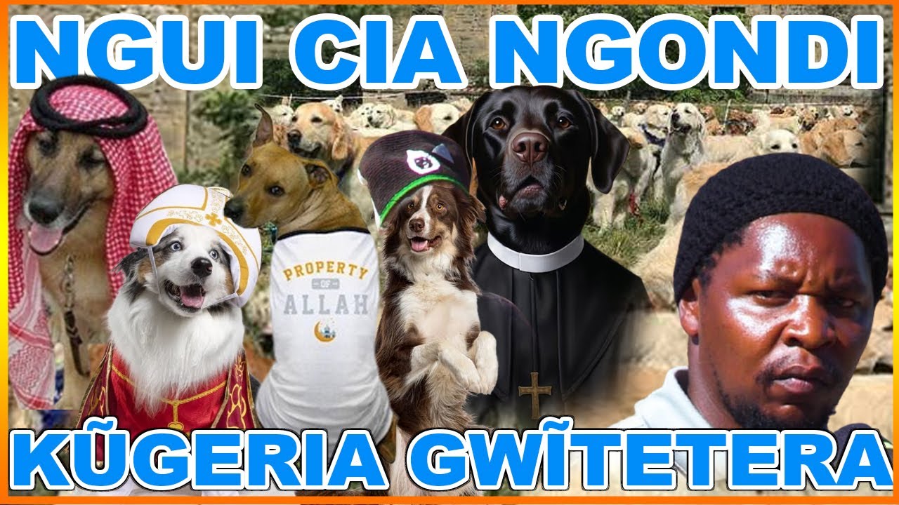 NGUI CIA NGONDI KŨGERIA GWĨTETERA PART 1