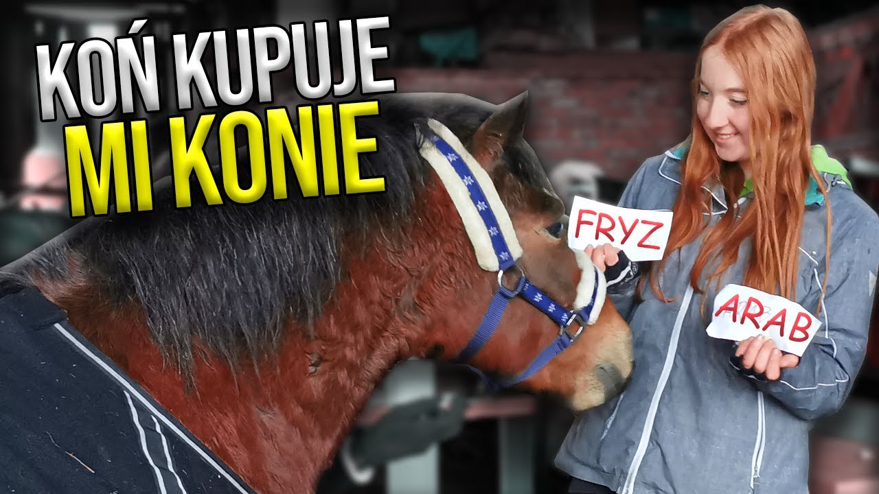 KOŃ ZE STAJNI KUPUJE MI KONIA W SSO 🤑🐎🐴