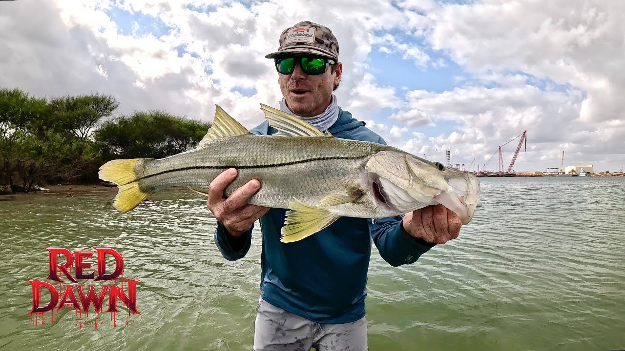 Рыбалка на судоходном канале Браунсвилла в поисках PB Snook