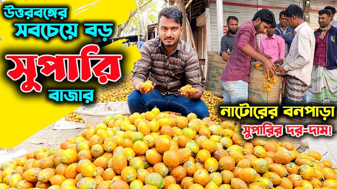 উত্তরবঙ্গের সবচেয়ে বড় সুপারির হাট নাটোরের বনপাড়া বাজারের সুপারির দাম | উদ্যোক্তার খোঁজে