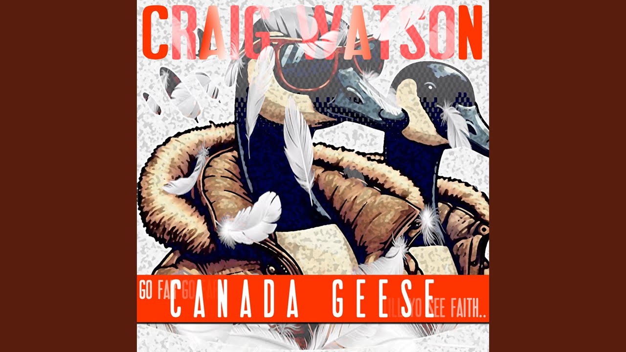 Canada Geese