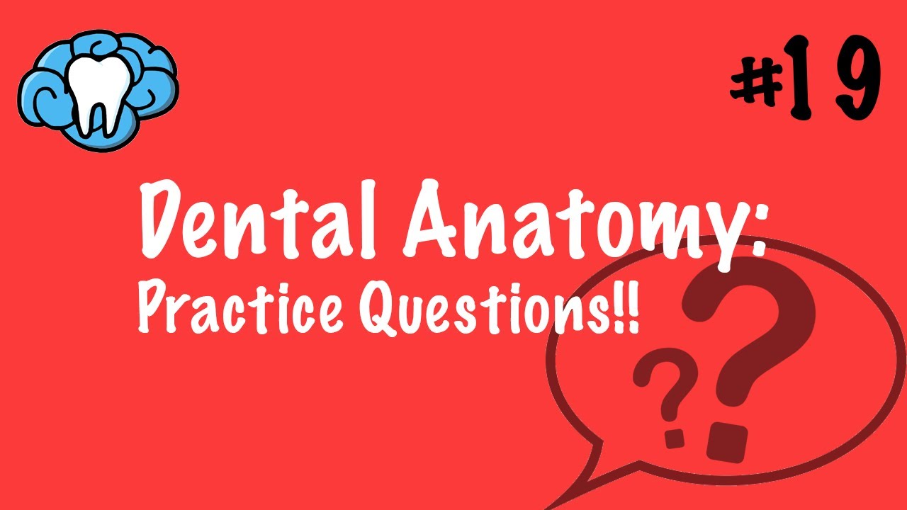 Dental Anatomy | PRACTICE QUESTIONS | INBDE