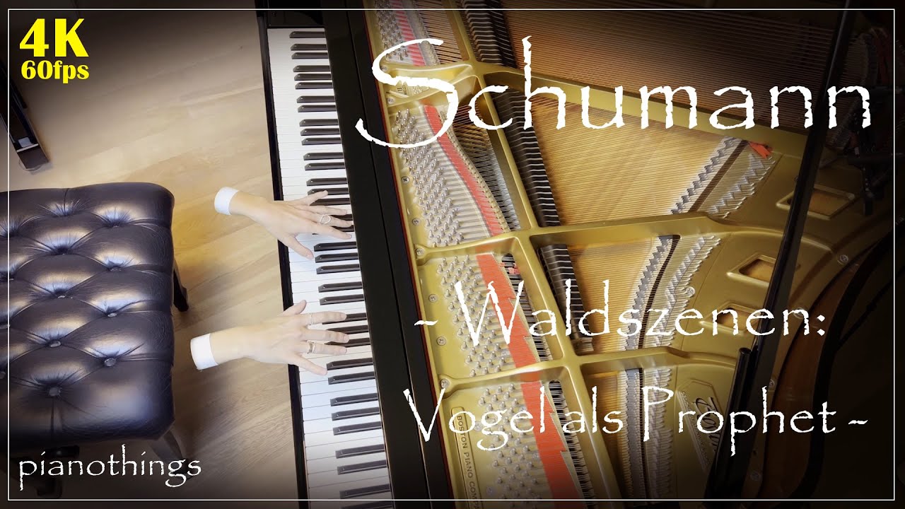 Schumann - Waldszenen Vogel als Prophet | piano music