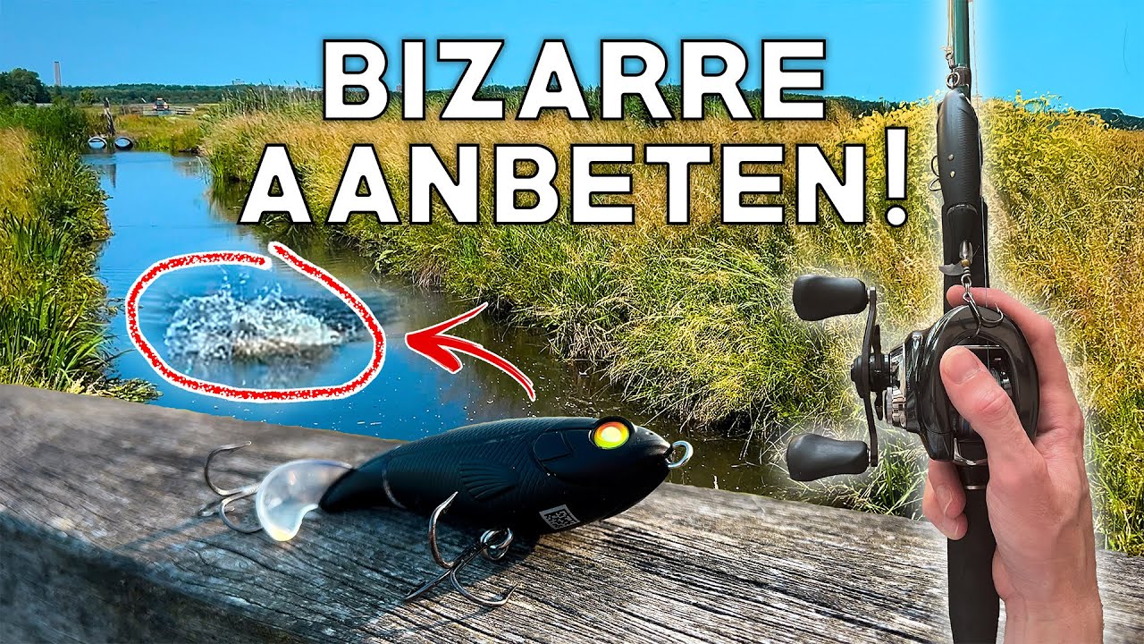 ZO Vang jij SNOEK In de ZOMER!
