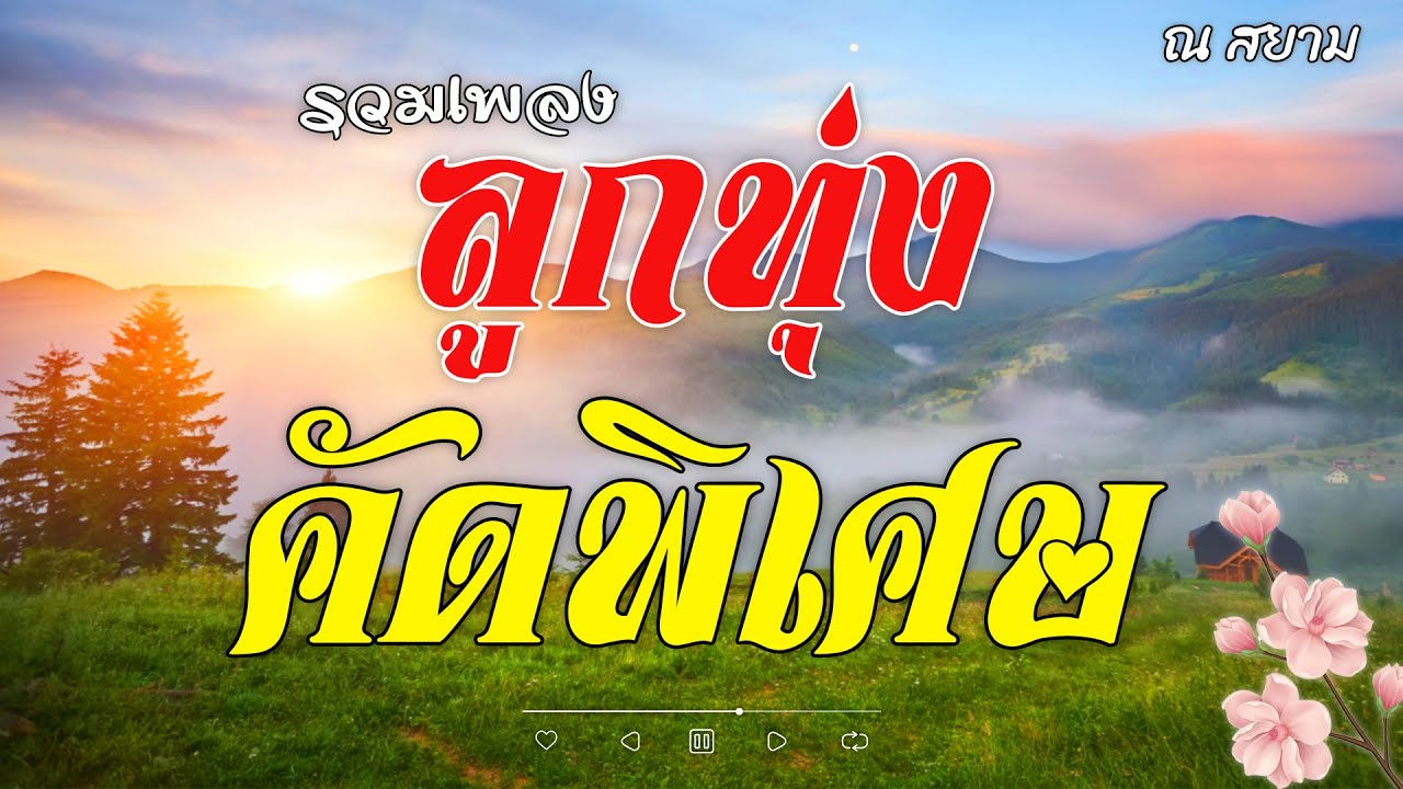 รวมเพลงลูกทุ่งคัดพิเศษ ชุดที่ 1 | เสรี รุ่งสว่าง | #ห่วงน้อง #เรียกพี่ได้ไหม #ไอ้หนุ่มเครื่องไฟ