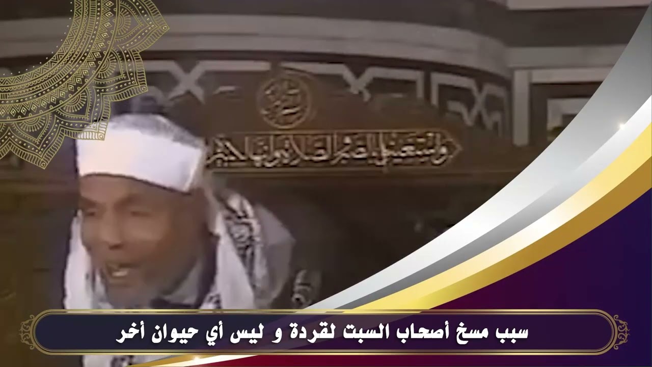 سبب مسخ أصحاب السبت لقردة و ليس أي حيوان أخر #الشيخ الشعراوي
