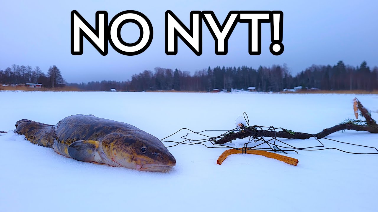 Käydää kokemassa madekoukut! Saaliiksi komea made