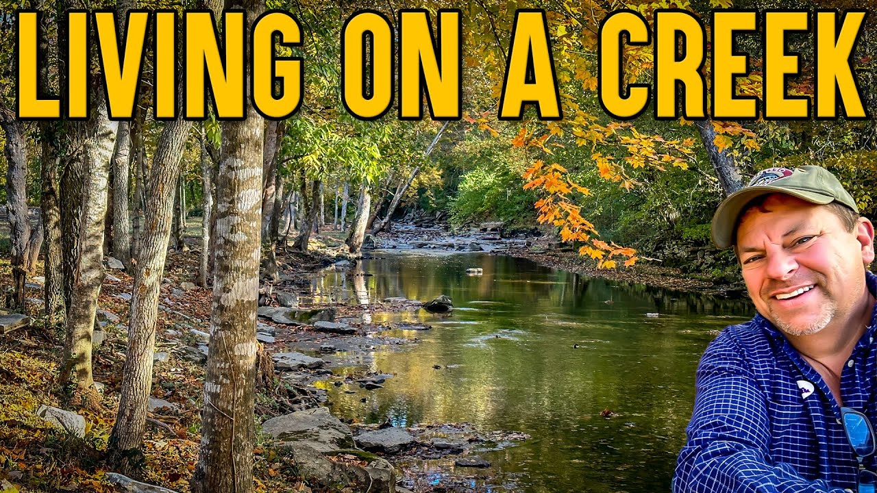 Real Estate with a Creek - Build a Cottage or Vacation Rental Live water Perfect AirBnB VRBO