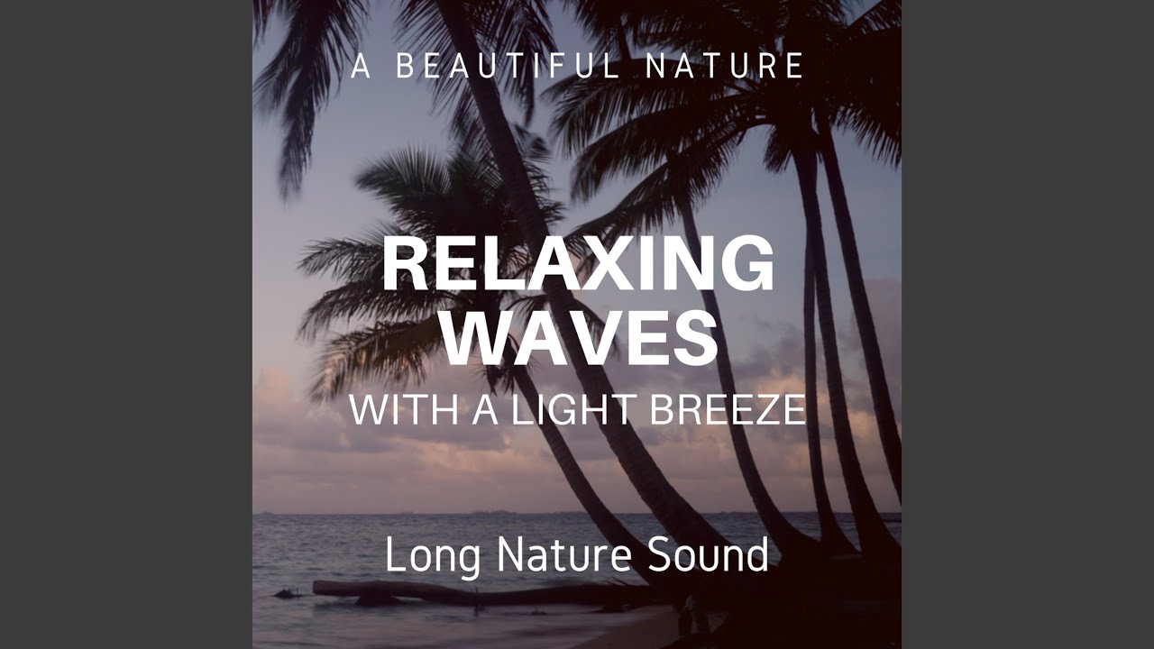 Relaxing Waves With A Light Breeze (Long Nature Sound)