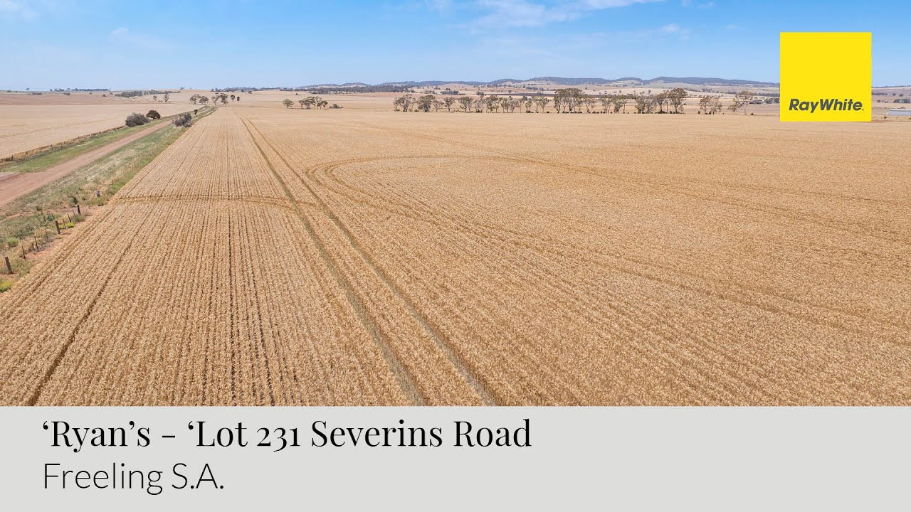 ‘Ryans’ Lot 231 Severins Road, Freeling, South Australia