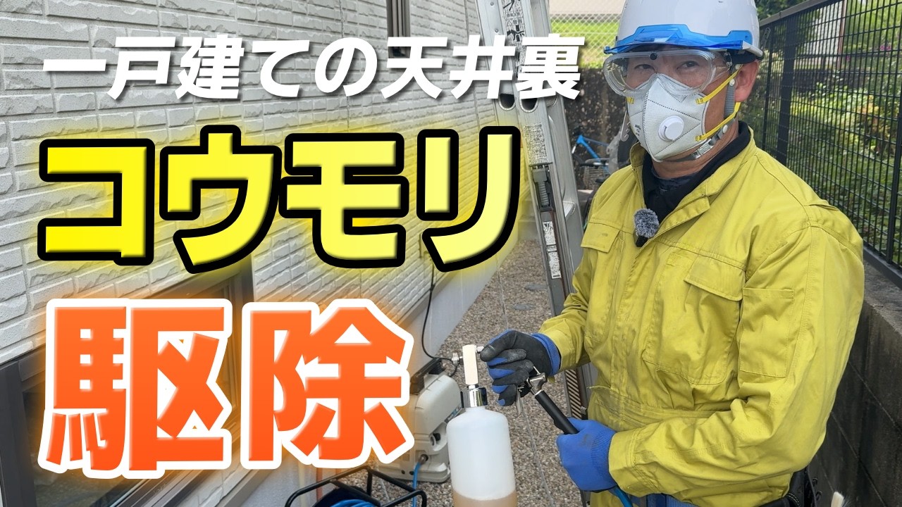 【コウモリ被害急増中】換気口に糞が詰まってた！5mmの隙間でも侵入するコウモリの生態と駆除方法をプロが徹底解説