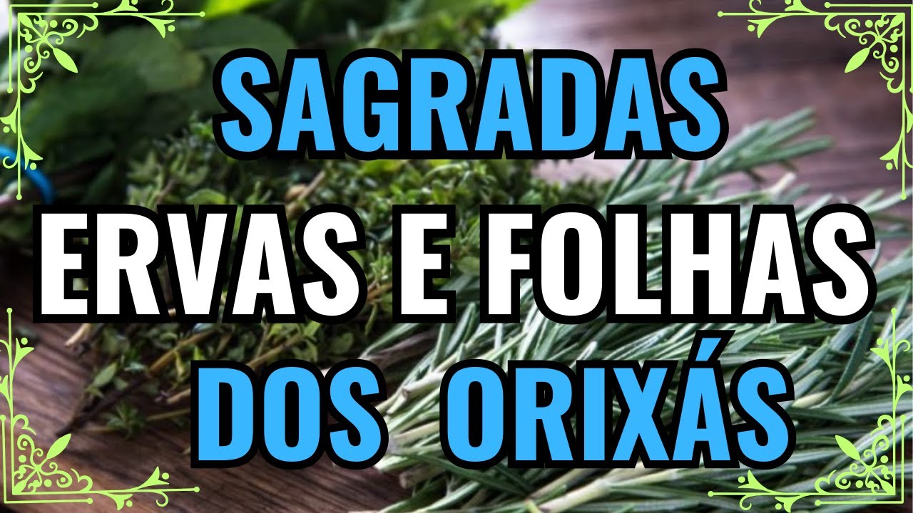 QUAIS SÃO AS ERVAS E FOLHAS SAGRADAS DOS ORIXÁS - o vídeo mais completo  - RECOMENDO - Umbanda