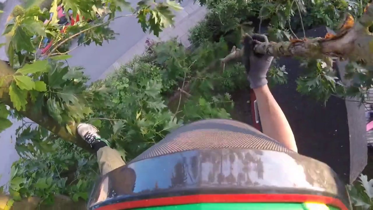 Erste vertikale Gehversuche nach dem SKT A Kurs