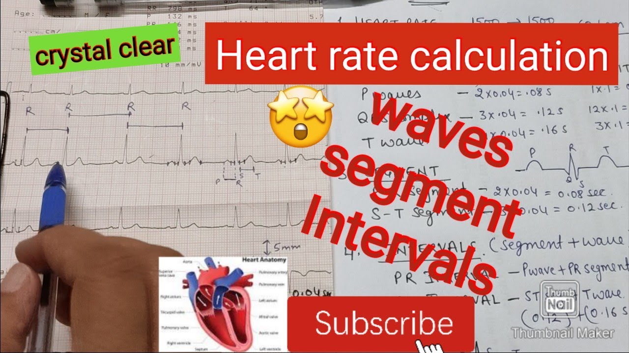 ECG calculation of HR, waves, intervals &segment
