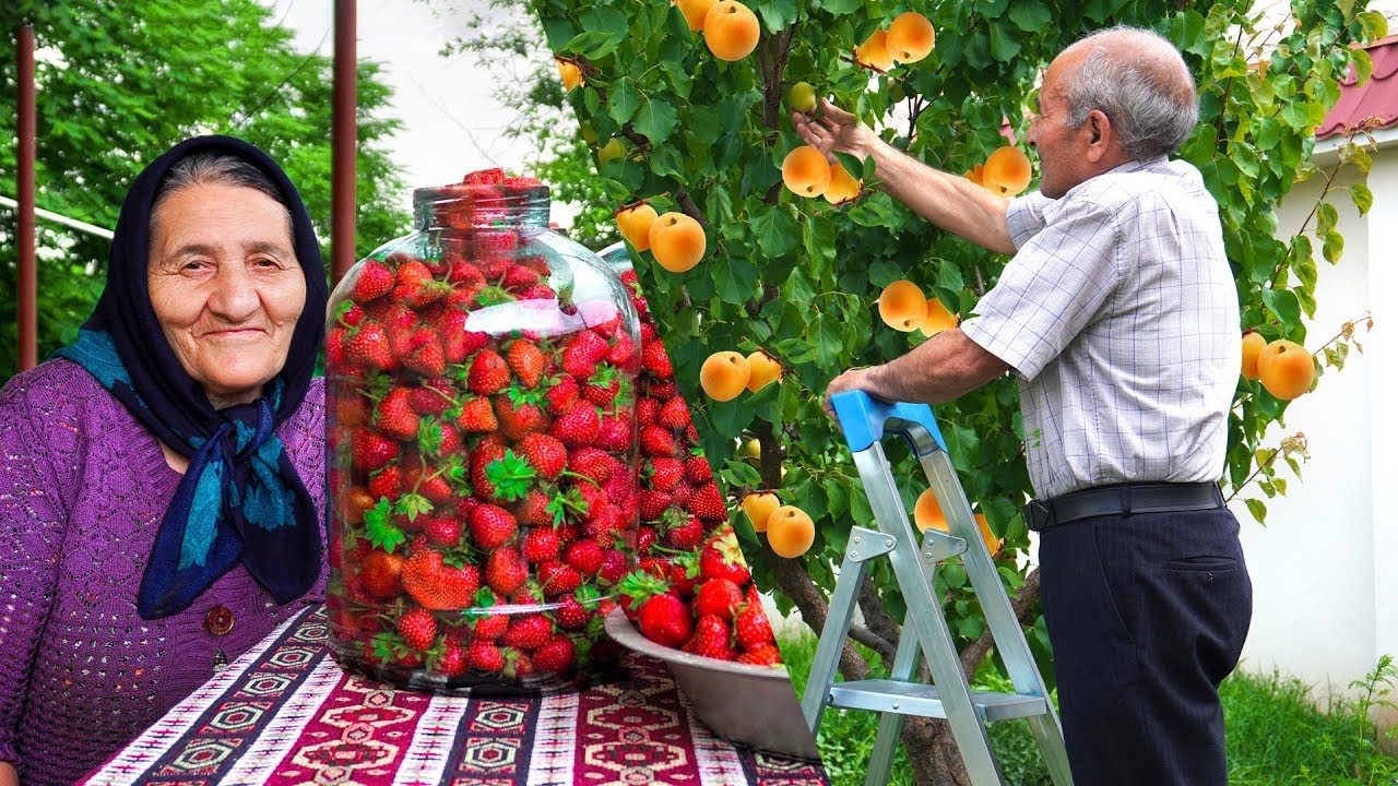 Смесь Урожая Абрикоса, Клубники и Персика! Делаем Варенье, Пироги и Компоты в Деревне!