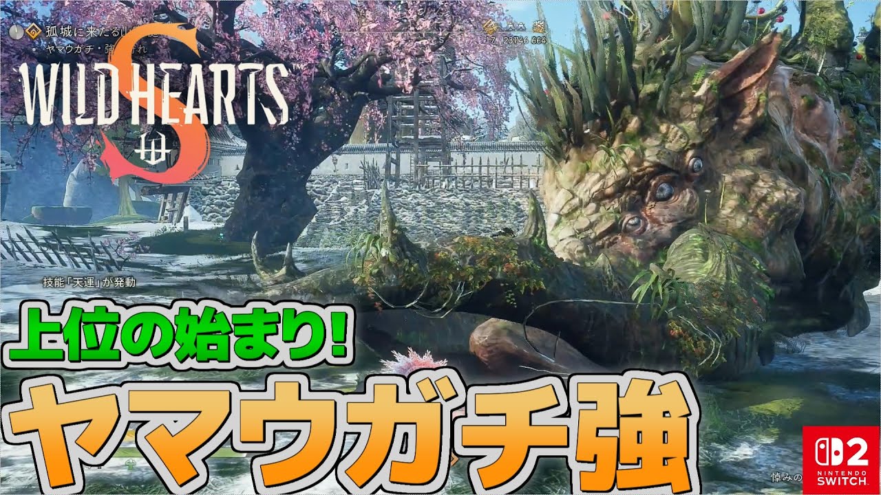 【WILD HEARTS S】上位の始まり！ヤマウガチ強を解説＆攻略！