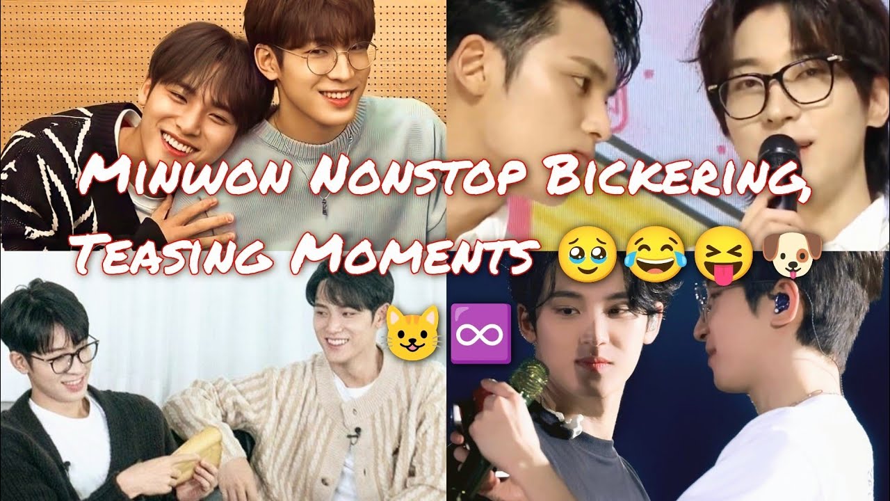 Minwon Nonstop Bickering 🥹 Teasing Moments 😺🐶❤️‍🩹♾️ #minwon #meanie #mingyu #wonwoo #kimmingyu #svt